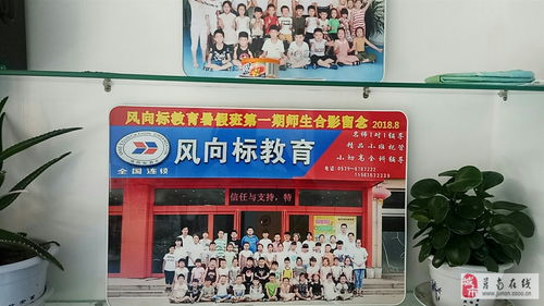 小橙子教育咨询服务中心 点亮学业与职业之路的专业向导