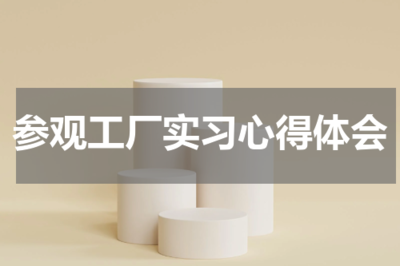 参观工厂实习的心得体会——教育咨询服务的启示